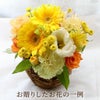 ペットちゃんの虹の橋 定期便 ふわふわコース 6ヶ月 Sサイズ
