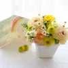 ペットちゃんの虹の橋 定期便 ふわふわコース 6ヶ月 Sサイズ