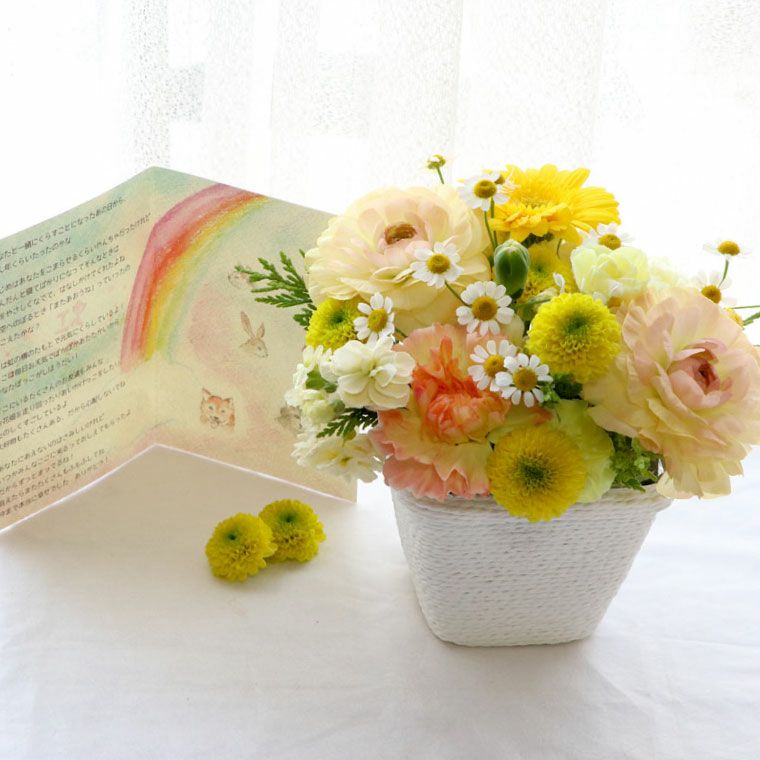 ペットちゃんの虹の橋 定期便 ふわふわコース 6ヶ月 Sサイズ