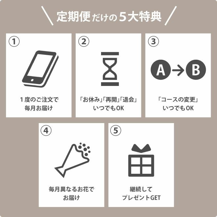 ペットちゃんの虹の橋 定期便 ふわふわコース 12ヶ月 Sサイズ
