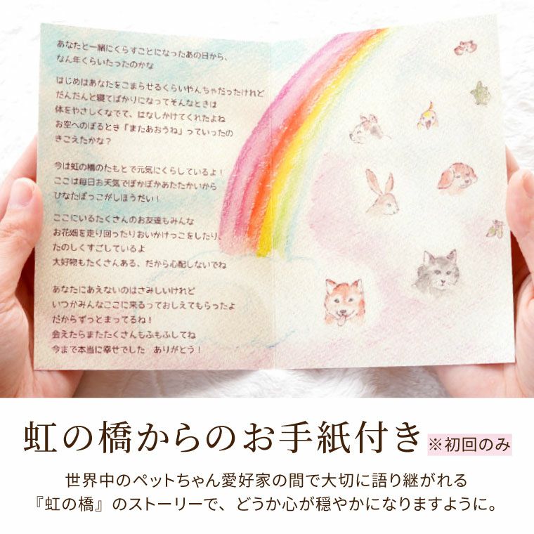 ペットちゃんの虹の橋 定期便 ふわふわコース 12ヶ月 Sサイズ