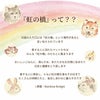 ペットちゃんの虹の橋 定期便 もふもふコース 12ヶ月