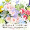 ペットちゃんの虹の橋 定期便 ふかふかコース 3ヶ月