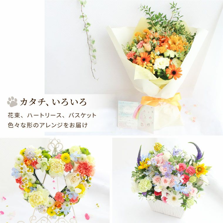 ペットちゃんの虹の橋 定期便 ふかふかコース 6ヶ月