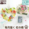 ペットちゃんの虹の橋 定期便 ふかふかコース 12ヶ月
