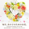 ペットちゃんの虹の橋 定期便 ふかふかコース 12ヶ月