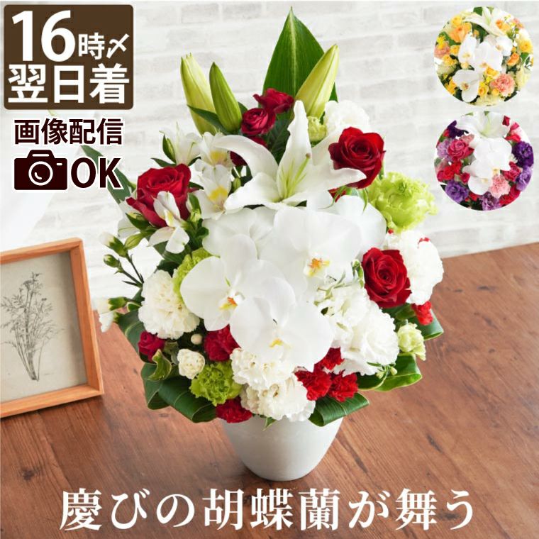 胡蝶蘭のセレブレートアレンジメント』 生花｜ギフトショップ「FLEGRE