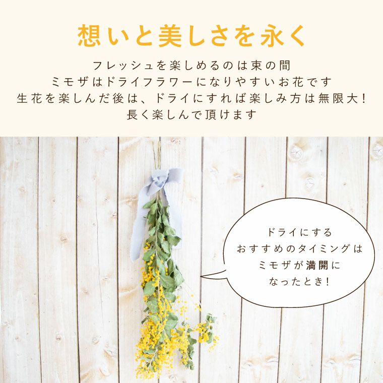 エターナルブーケ ～春限定ミモザ～』 生花｜ギフトショップ「FLEGRE