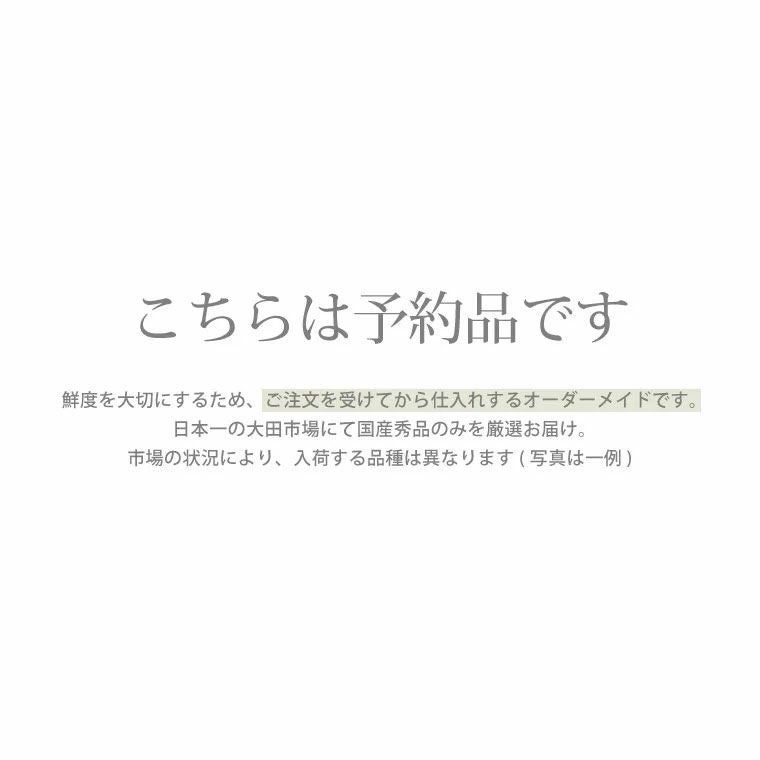 チューリップの花束 ・30本 生花