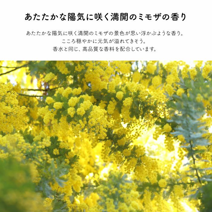インテリアディフューザー120ml MIMOSA/ミモザ｜ギフトショップ