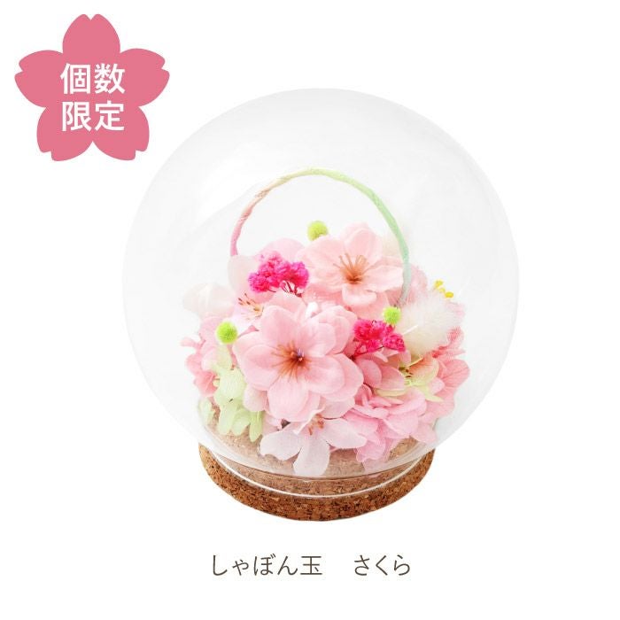 ペットちゃんの虹の橋 しゃぼん玉』 お供え プリザーブドフラワー
