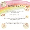 おさんぽ虹線香＆蝋燭 お供え花と一緒に