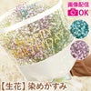 かすみ草ブーケ・カラフル 生花