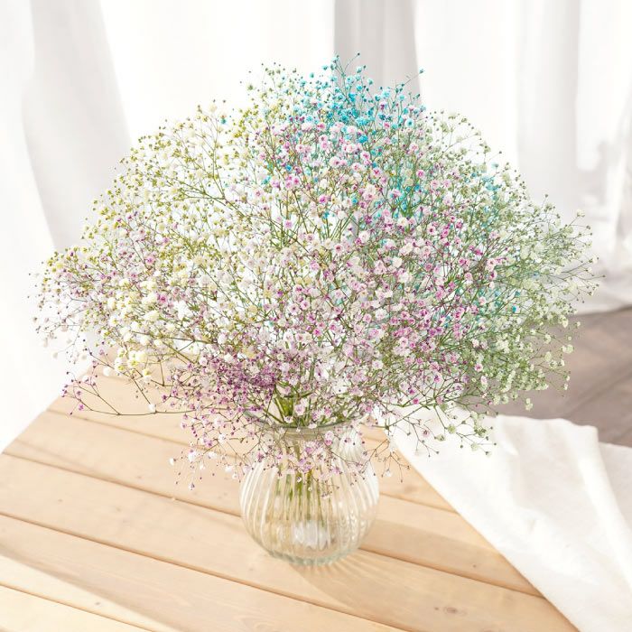 かすみ草ブーケ・カラフル』 生花｜ギフトショップ「FLEGRE（フレグレ）」