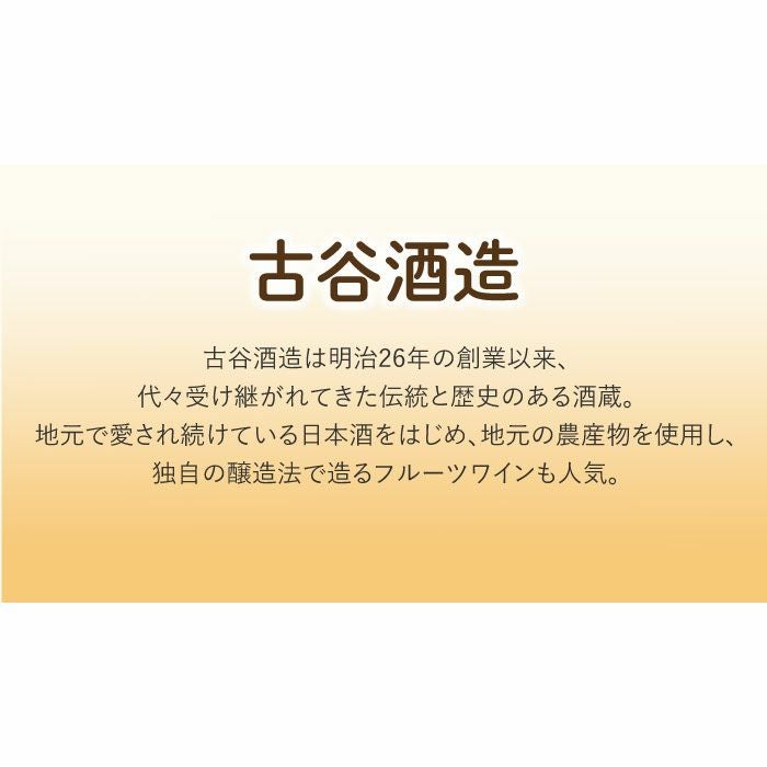 国産フルーツワイン飲み比べセット