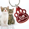 猫用迷子札