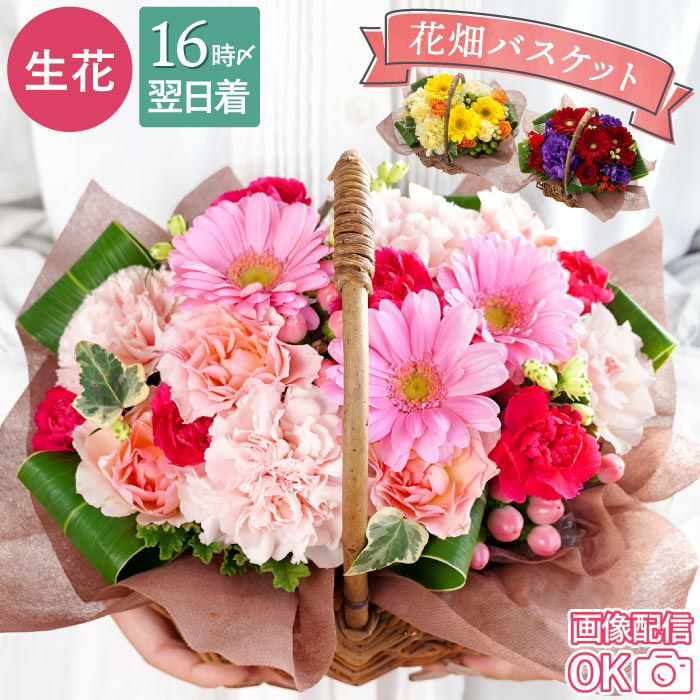 優しい春色のフラワーバスケット　お花の贈り物 color basket flower/カラー バスケットフラワー アレンジ お祝い